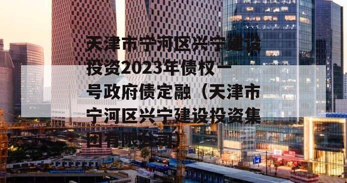 天津市宁河区兴宁建设投资2023年债权一号政府债定融（天津市宁河区兴宁建设投资集团有限公司）