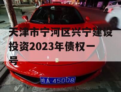 天津市宁河区兴宁建设投资2023年债权一号