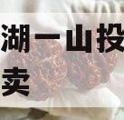 简阳两湖一山投资债权资产拍卖