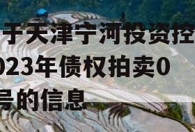 关于天津宁河投资控股2023年债权拍卖02号的信息