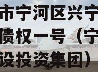 天津市宁河区兴宁建设投资债权一号（宁河兴宁建设投资集团）