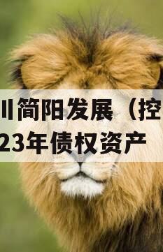 四川简阳发展（控股）2023年债权资产