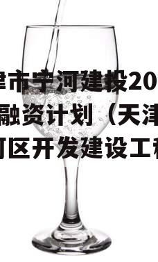 天津市宁河建投2023年融资计划（天津市宁河区开发建设工程公司）