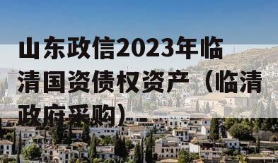 山东政信2023年临清国资债权资产（临清政府采购）