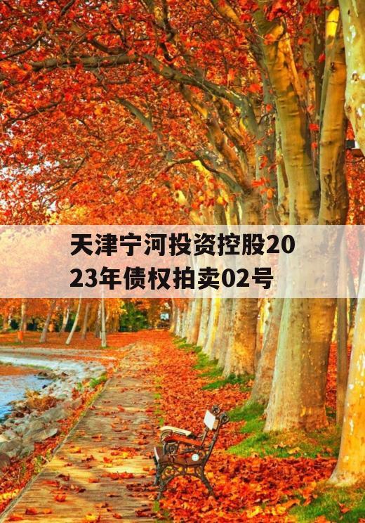 天津宁河投资控股2023年债权拍卖02号