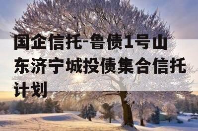 国企信托-鲁债1号山东济宁城投债集合信托计划