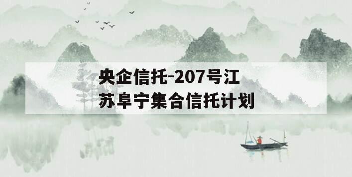 央企信托-207号江苏阜宁集合信托计划