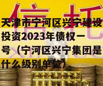 天津市宁河区兴宁建设投资2023年债权一号（宁河区兴宁集团是什么级别单位）