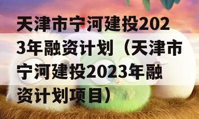 天津市宁河建投2023年融资计划（天津市宁河建投2023年融资计划项目）