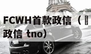 FCWH首款政信（辻政信 tno）