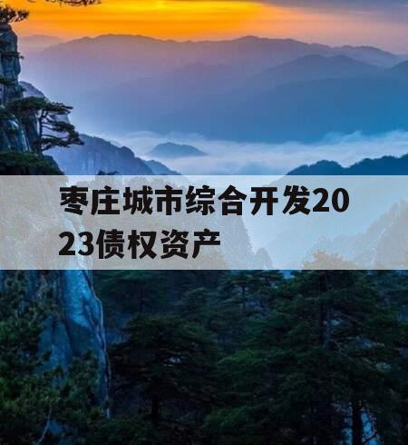 枣庄城市综合开发2023债权资产