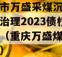 重庆市万盛采煤沉陷区综合治理2023债权资产（重庆万盛煤电化园区）