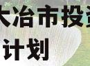 湖北大冶市投资2023融资计划