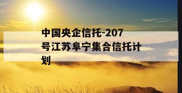 中国央企信托-207号江苏阜宁集合信托计划