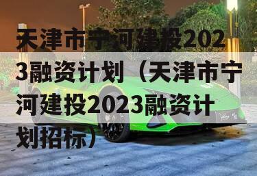 天津市宁河建投2023融资计划（天津市宁河建投2023融资计划招标）