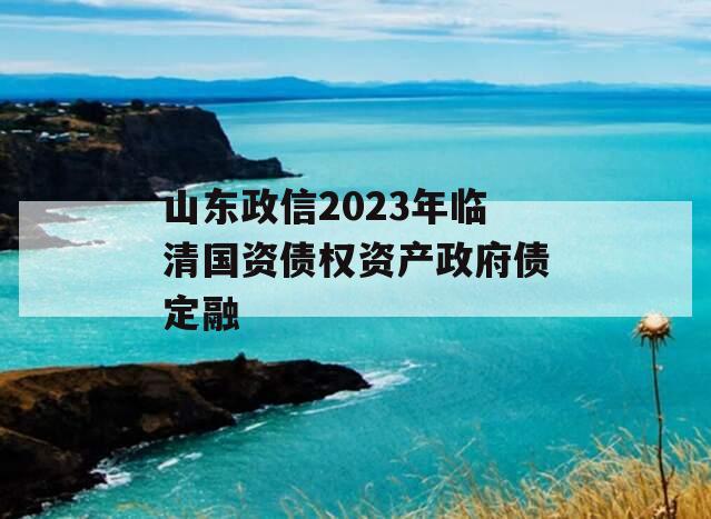 山东政信2023年临清国资债权资产政府债定融