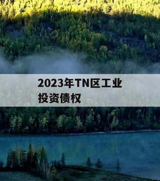 2023年TN区工业投资债权