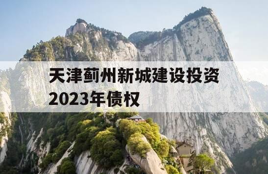 天津蓟州新城建设投资2023年债权