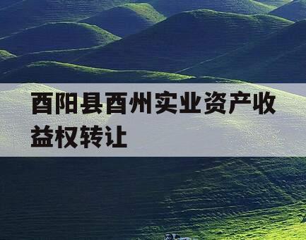 酉阳县酉州实业资产收益权转让