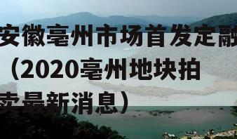 安徽亳州市场首发定融（2020亳州地块拍卖最新消息）