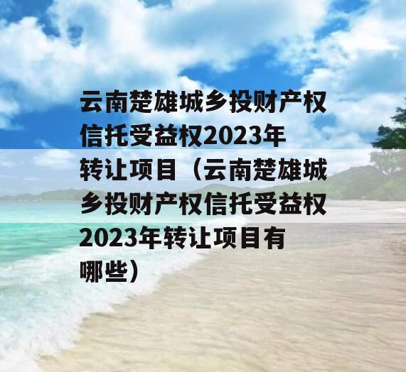 云南楚雄城乡投财产权信托受益权2023年转让项目（云南楚雄城乡投财产权信托受益权2023年转让项目有哪些）