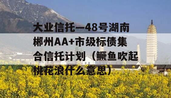 大业信托—48号湖南郴州AA+市级标债集合信托计划（鳜鱼吹起桃花浪什么意思）