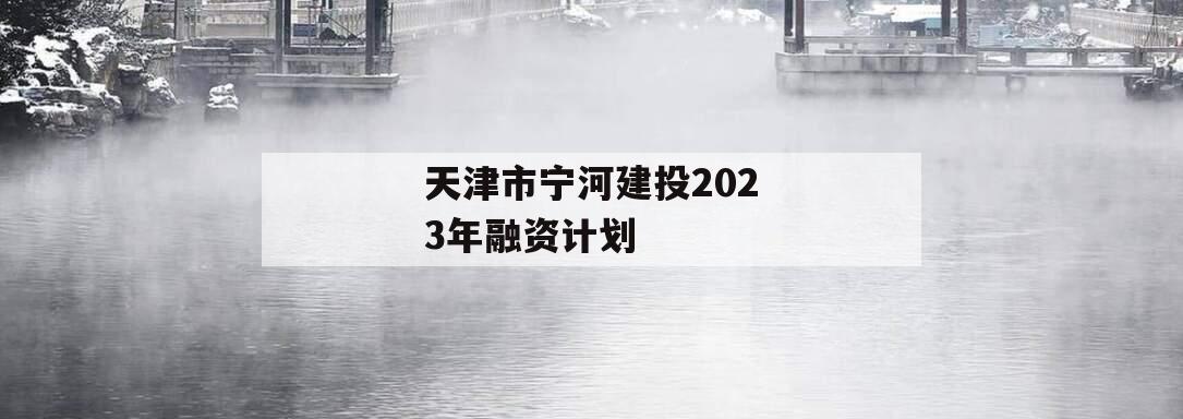 天津市宁河建投2023年融资计划