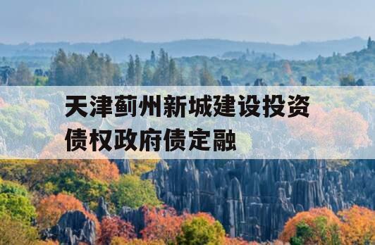 天津蓟州新城建设投资债权政府债定融