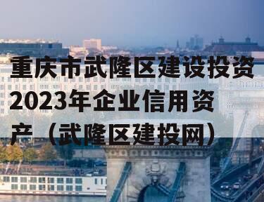 重庆市武隆区建设投资2023年企业信用资产（武隆区建投网）