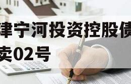 天津宁河投资控股债权拍卖02号