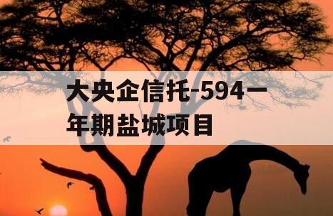 大央企信托-594一年期盐城项目