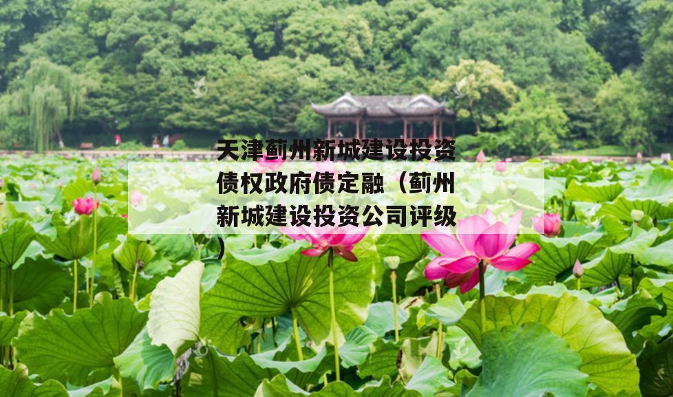 天津蓟州新城建设投资债权政府债定融（蓟州新城建设投资公司评级）