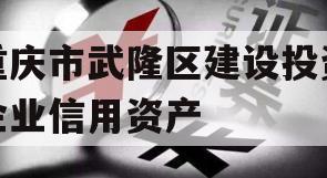 重庆市武隆区建设投资企业信用资产