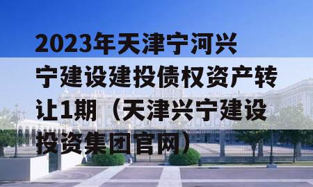 2023年天津宁河兴宁建设建投债权资产转让1期（天津兴宁建设投资集团官网）