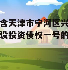 包含天津市宁河区兴宁建设投资债权一号的词条