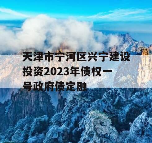 天津市宁河区兴宁建设投资2023年债权一号政府债定融