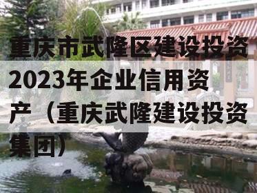 重庆市武隆区建设投资2023年企业信用资产（重庆武隆建设投资集团）