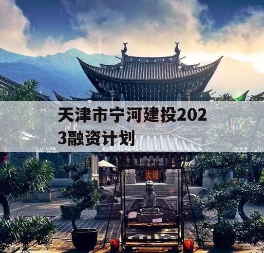 天津市宁河建投2023融资计划