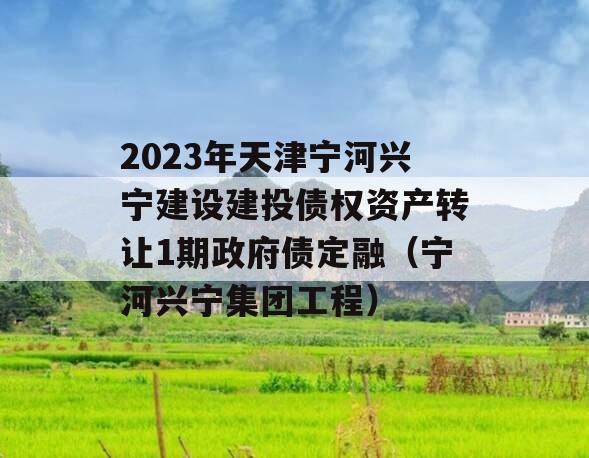 2023年天津宁河兴宁建设建投债权资产转让1期政府债定融（宁河兴宁集团工程）