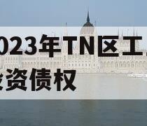 2023年TN区工业投资债权