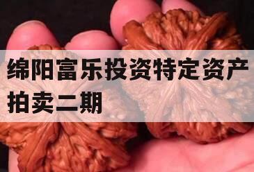 绵阳富乐投资特定资产拍卖二期