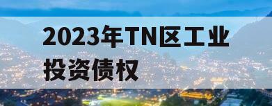 2023年TN区工业投资债权