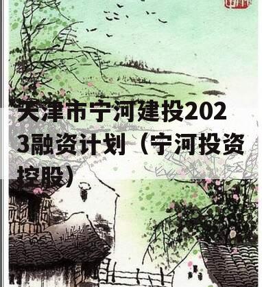 天津市宁河建投2023融资计划（宁河投资控股）