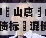 云‮信南‬托云乾10号天津‮山唐‬山东等7支‮债标‬混债的简单介绍