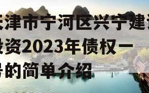 天津市宁河区兴宁建设投资2023年债权一号的简单介绍