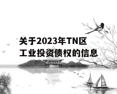 关于2023年TN区工业投资债权的信息