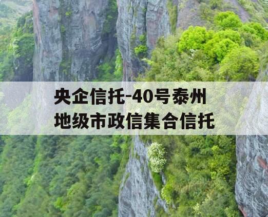 央企信托-40号泰州地级市政信集合信托