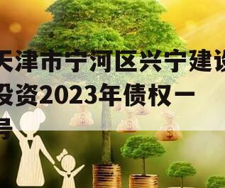 天津市宁河区兴宁建设投资2023年债权一号