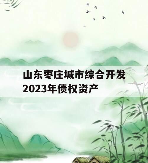 山东枣庄城市综合开发2023年债权资产