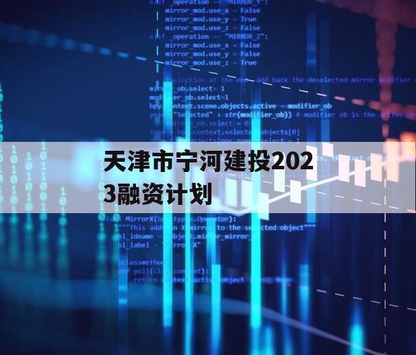 天津市宁河建投2023融资计划